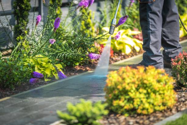 Best Residential Pressure Washing in Millbrook, AL