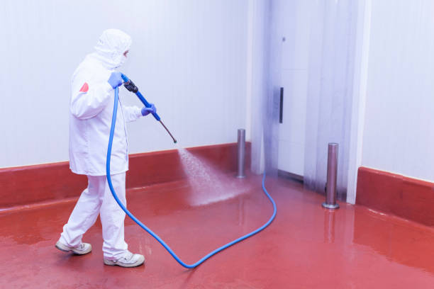 Best Building Exterior Pressure Washing in Millbrook, AL